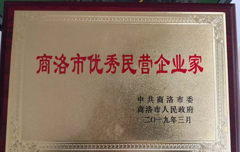 熱烈祝賀李宗松董事長(zhǎng)榮獲商洛市優(yōu)秀企業(yè)家